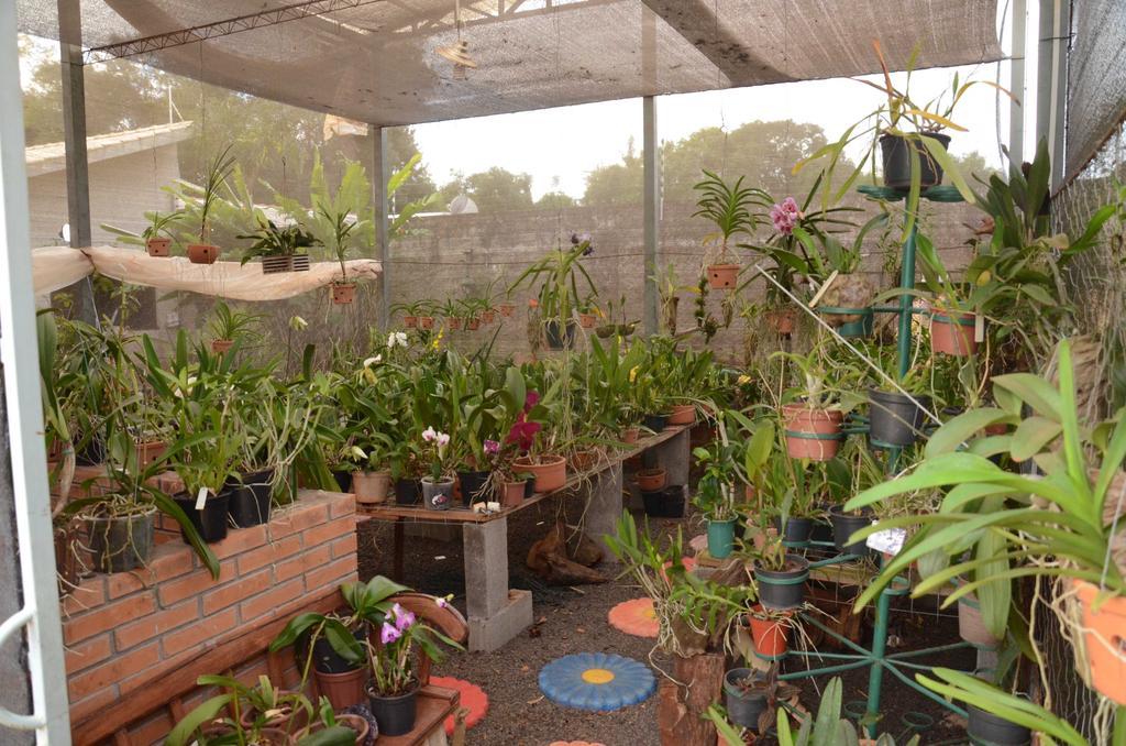 Pensão Orquideas Foz Foz do Iguaçu